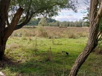 Trail Walking Bernissart - harchies 170922 - Photo