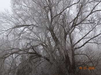 Trail Walking Verlaine - 2025-01-19_13h03m19_circuit_autour_du_chateau_de_seraing-le-chateau-3 - Photo