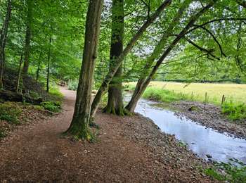 Tocht Stappen Aken - Kornelimünster  - Photo