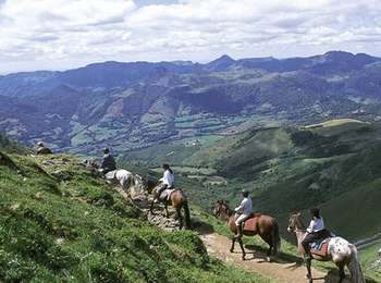 Trail Equestrian Mandailles-Saint-Julien - TDV-Mandailles-Polminhac - Photo