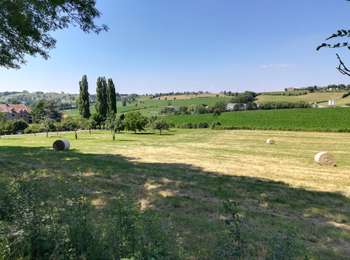 Percorso Bici ibrida Herve - Cirkwi-Ravel_ligne_38_et_retour_par_chemins_de_campagne - Photo