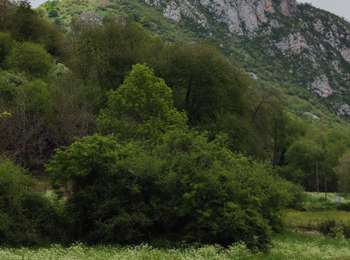 Tocht Stappen Prades - Comus Montsegut - Photo