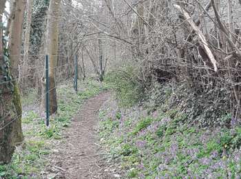 Trail Walking Nandrin - Villers le temple  .  st jean sart  .  clemaude  - Photo