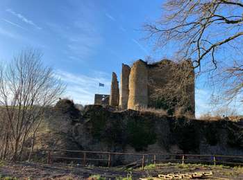 Trail Walking Theux - Theux Natura 2000 château Franchimont - Photo
