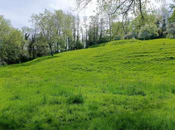 Tocht Stappen Dalhem - La voie des Moulyniers (5,6km) - Photo