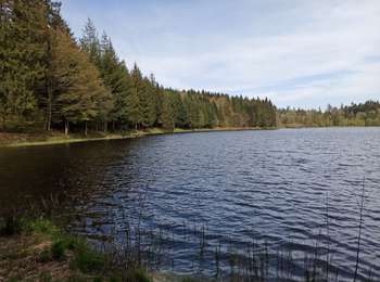 Trail Walking La Montagne - 01-05-24 St Bresson - Photo