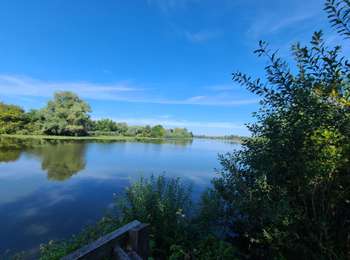 Tour Wandern Clairmarais - L'Audomarois - Photo