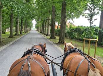 Trail Coupling Pecq - balade pecq - Photo