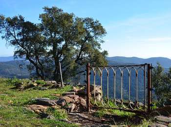 Randonnée Marche La Garde-Freinet - La Garde Freinet - ND de Miremer - Photo