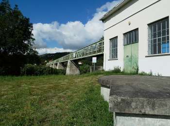 Percorso A piedi Cournon-d'Auvergne - Bords d'Allier - Photo