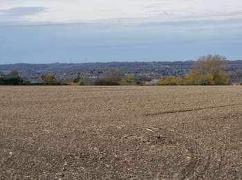 Trail Walking Sambreville - Arsimont par les sentiers - Photo