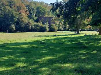 Trail Walking Binche - LEVAL TRAHEGNIES  - Photo