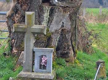 Trail Walking Stoumont - chevron ( promenade de la chapelle ) - Photo