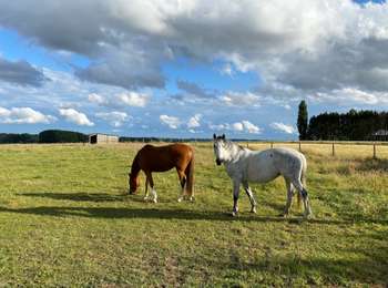 Randonnée Marche Asse - Asbeek 8 km - Photo