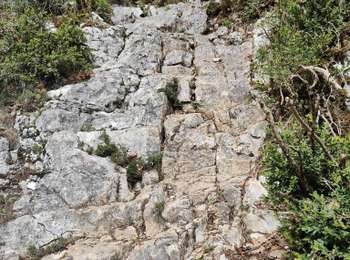 Trail Walking Brochon - Boucle des cent marches et du pavillon de l'empereur  - Photo