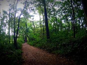 Tour Mountainbike Cerfontaine - Cerfontaine_20200809_081259 - Photo