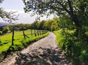 Trail Walking Liège - Promenade du Vallon du Ry-Ponet  - Photo