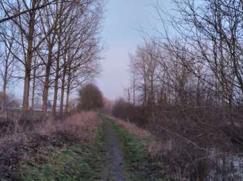 Trail Walking Awans - CANI-RANDO TOUR (2ème étape) - Photo