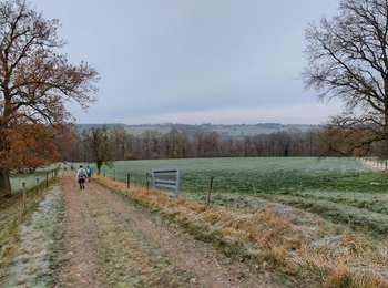 Randonnée Marche Yvoir -  Marche ADEPS Spontin  - Photo