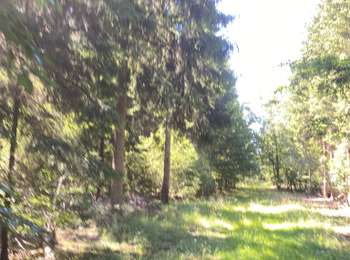 Trail Horseback riding Chimay - Relais - Photo