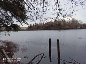 Trail Walking Amont-et-Effreney - 5-12-20 Effreney - Photo