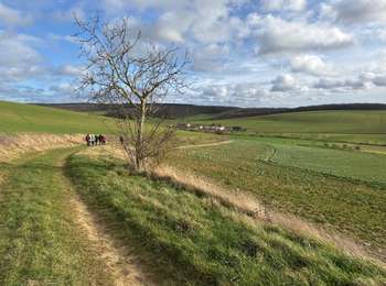 Trail Walking Saligny - Deligny - Photo