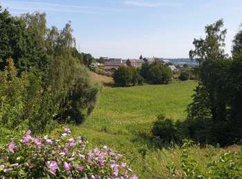 Tocht Stappen Itter - Balade à Virginal-Samme - Photo
