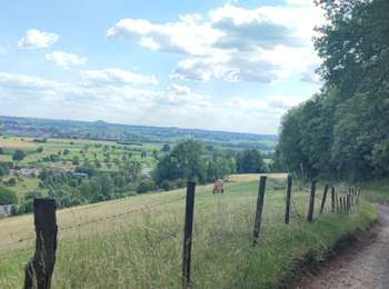 Trail Mountain bike Visé - Entre Belgique et Pays-Bas 🌿 - Photo
