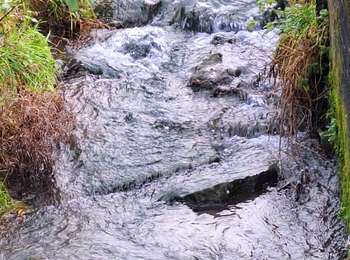 Trail Walking Beyne-Heusay - Beyne Heusay( une partie de la balade du Lynx - Photo