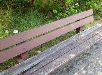 Trail Walking Quévy - chasse aux traisors  - Photo