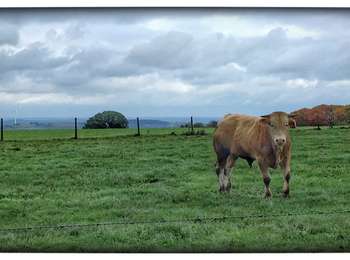 Percorso Marcia Couvin - La promenade des Fonds de l'Eau - Photo