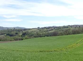 Percorso Marcia Authezat - Château de Chadieu (Montpeyroux) - Photo