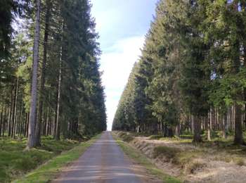 Excursión Bicicleta Eupen - Ovelo - The High Fens in the eastern part of the Hertogenwald - Photo