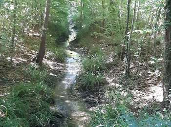 Tocht Stappen Saint-Jean-aux-Bois - SAINT JEAN AUX BOIS, le village et les bois - Photo