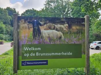 Randonnée Marche Heerlen - Brunssummerheide  - Photo