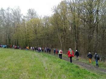 Excursión Senderismo Nogent-l'Artaud - Nogent l'Artaud du 27-03-2023 - Photo