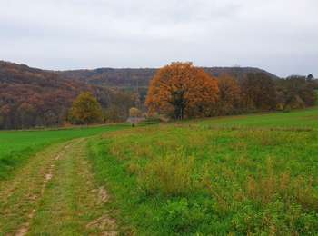 Trail Walking Profondeville - Du village de Arbre au hameau de Besinne - Photo