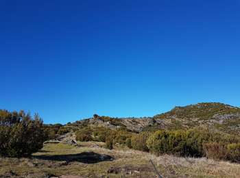 Tocht Stappen Ilha - Madère : vers le Pico Ruevo sommet de l'île - Photo