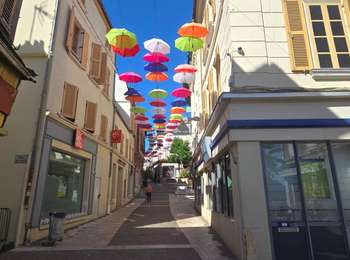 Trail On foot Joigny - Boucle 25 km Joigny La Roche - Photo