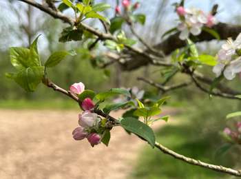 Percorso Marcia Saint-Germain-en-Laye - Boucle - Maison Lafitte - Foret domaniale de Saint-Germain - Photo