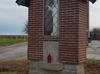 Trail Walking Walcourt - Adeps Somzėe 5 km 24-11-2019 - Photo