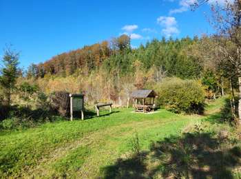 Tour Wandern Feitweiler - Fauvillers 221024 - Photo