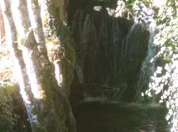 Trail Walking Marnoz - Marnoz Fort St André Fort Belin Salin 8 sept 2020 CAF - Photo