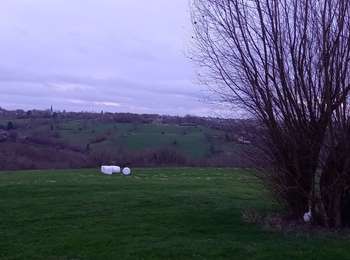 Trail Walking Beyne-Heusay - Beyne Heusay - Balade du lynx  - Photo