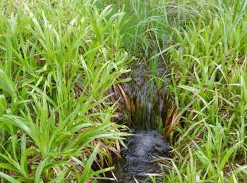 Percorso A piedi Lavoine - Le Puy de Montoncel - Photo