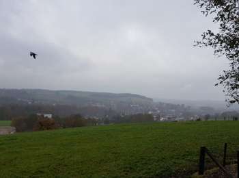 Randonnée Marche Gulpen-Wittem - Gulpen _1475 - Photo