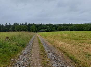 Trail Walking Ouffet - Marche ADEPS Ouffet 2024 - Photo