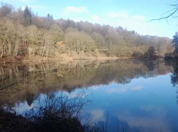 Randonnée Marche Léglise - Marche ADEPS 12km00 à Méllier. - Photo