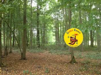 Tocht Stappen Ver-sur-Launette - MR_VER-sur-LAUNETTE-NORD_5.3Km - Photo
