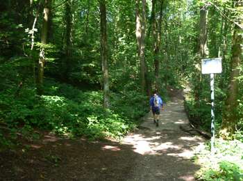 Trail Walking Liège - Grivegnée Beyne-Heusay Jupille Grivegnée - Photo